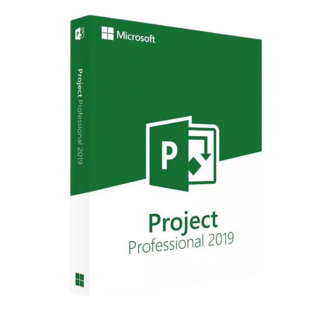 Project 2019 Professional Project 2019 Professional